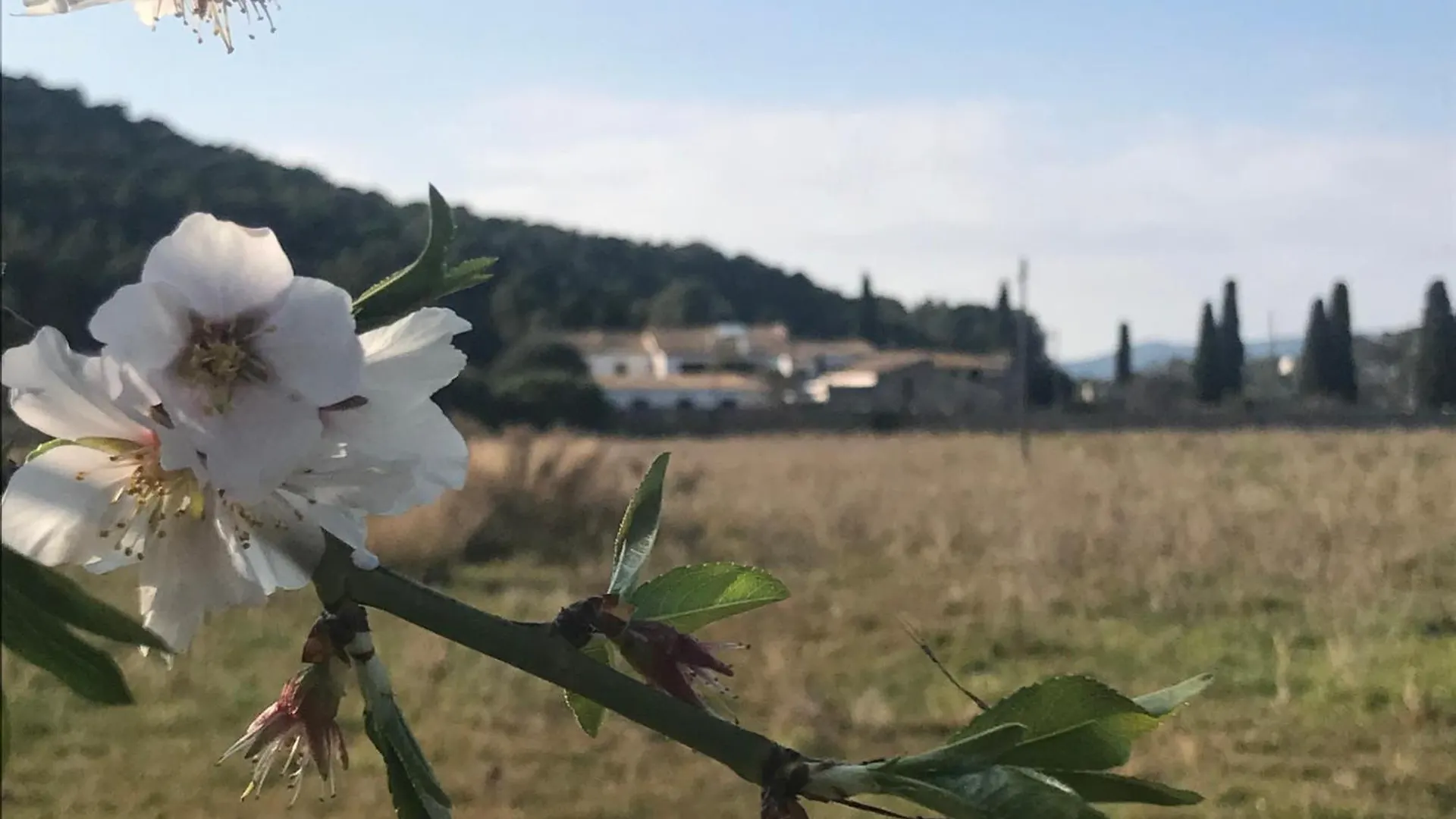別荘 Masia Centenaria En シッチェス スペイン